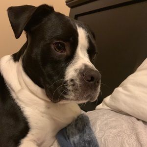 Meet your Posher, Sarai